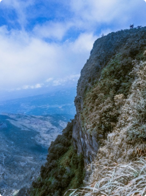 City Explorer Package